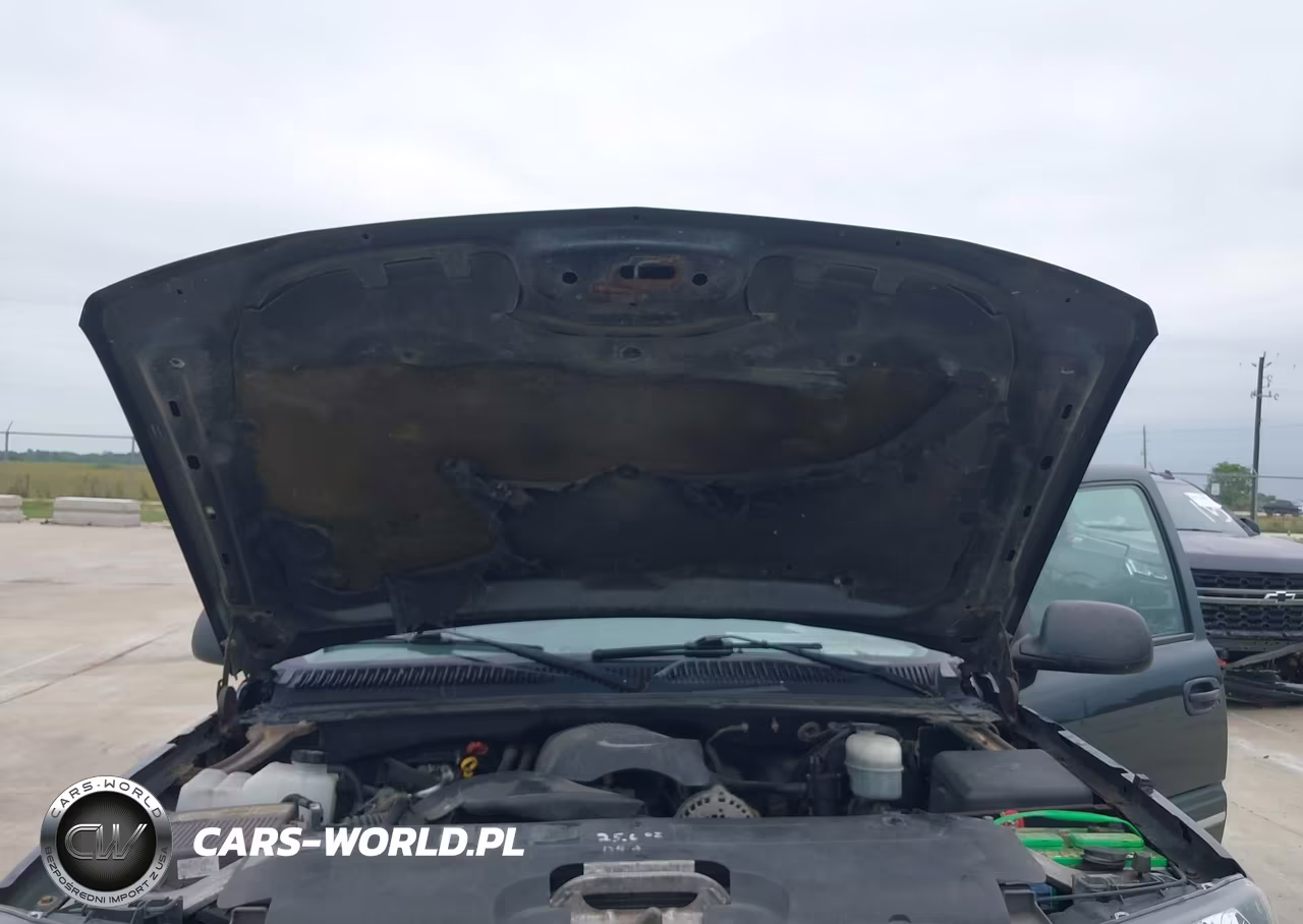 2003 Chevrolet Silverado 1500 Ls VIN:1GCEK19Z83Z276773 - 10