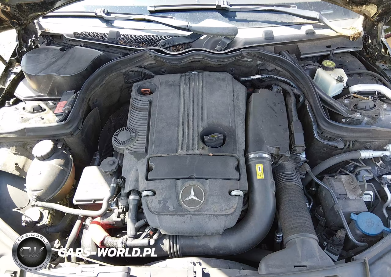 2013 Mercedes-Benz C 250 Luxury-Sport VIN:WDDGF4HB0DA765709 - 10