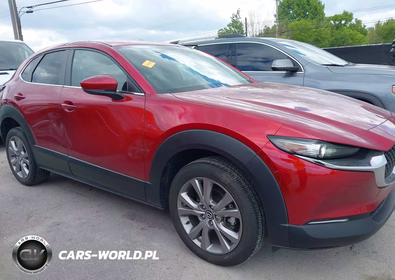 2020 Mazda Cx-30 Select Package VIN:3MVDMBCL6LM133062 - 13