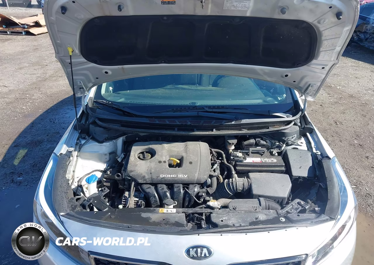 2017 Kia Forte Lx VIN:3KPFK4A79HE143605 - 10