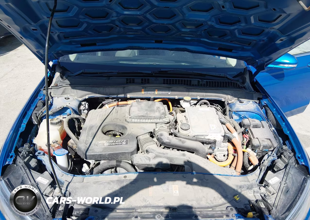 2019 Ford Fusion Energi Titanium VIN:3FA6P0SU5KR137613 - 10