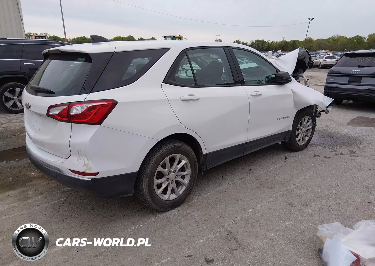 2018 Chevrolet Equinox Ls VIN:3GNAXHEVXJS577719 - 4