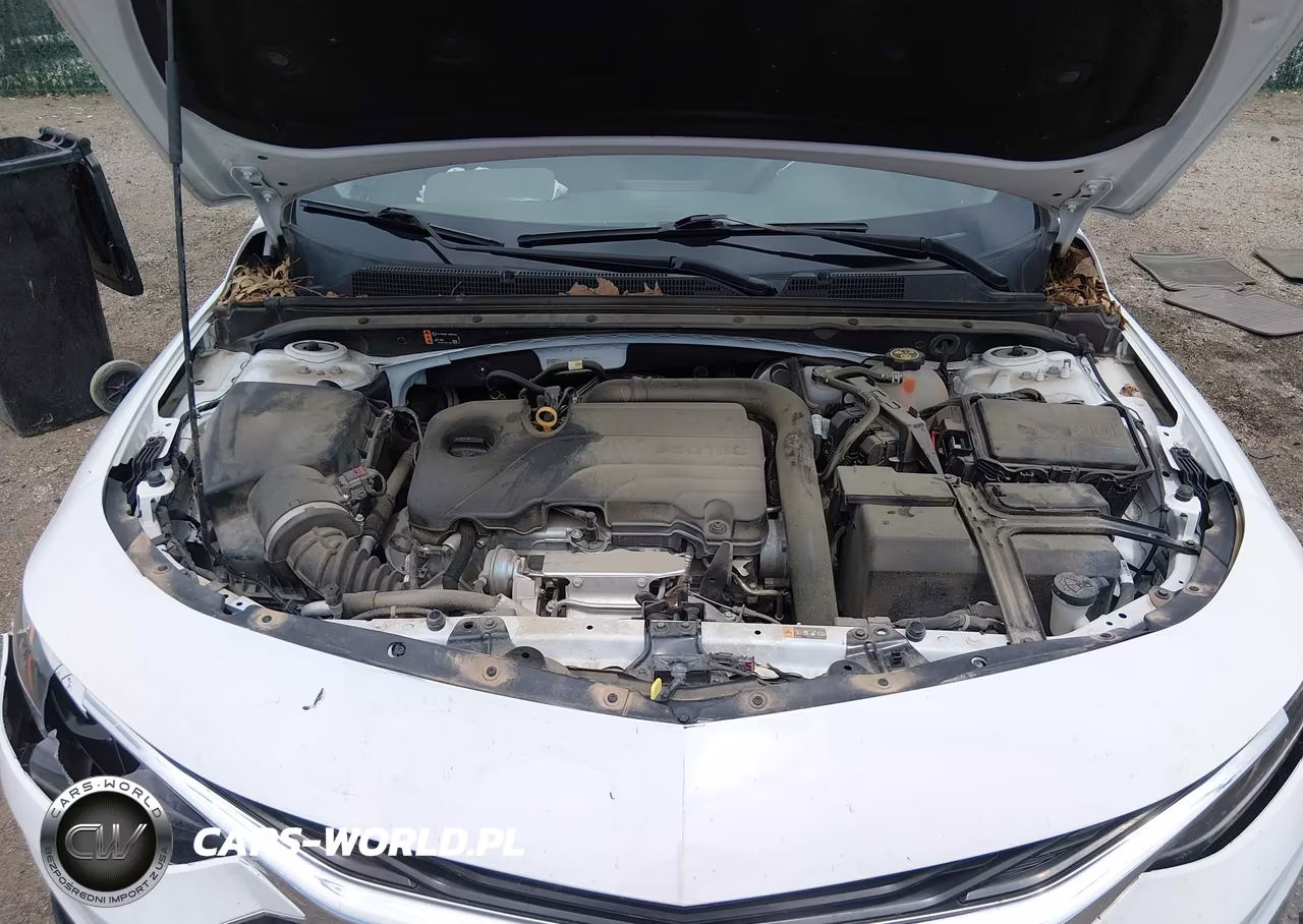 2020 Chevrolet Malibu Fwd 1Fl VIN:1G1ZC5ST0LF134228 - 10