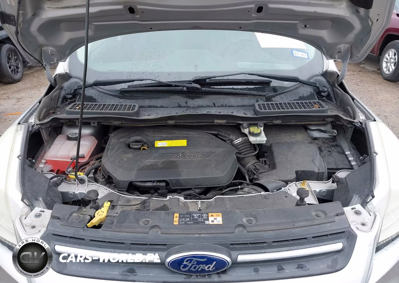 2015 Ford Escape Se VIN:1FMCU0GX6FUB18698 - 10