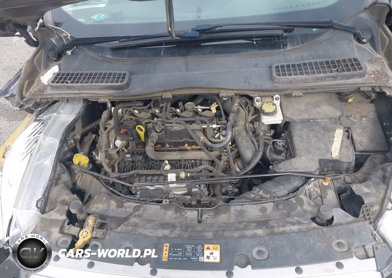2019 Ford Escape Se VIN:1FMCU0GD7KUBO6902 - 10