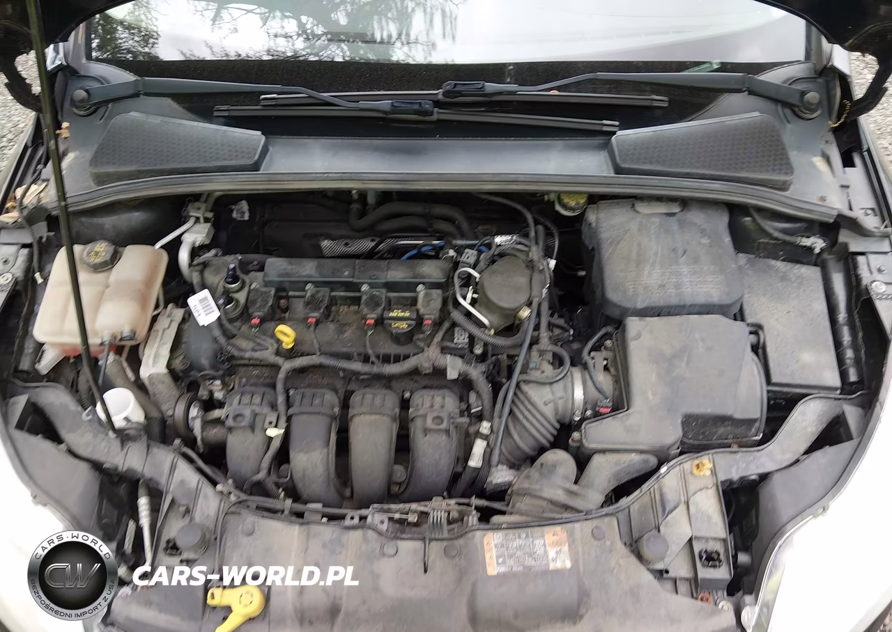 2014 Ford Focus Se VIN:1FADP3F23EL336843 - 10