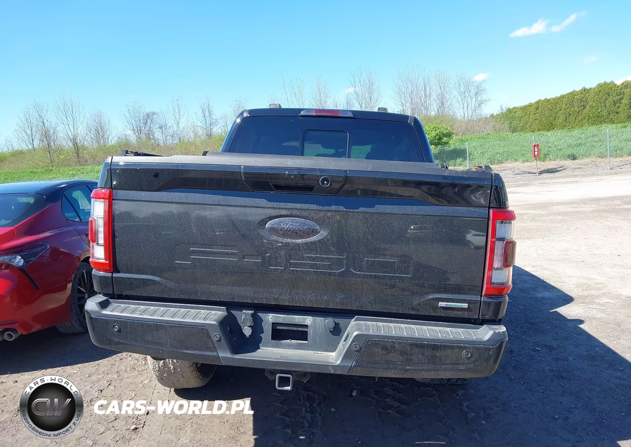 2021 Ford F-150 Lariat VIN:1FTEW1EP4MFA63380 - 17