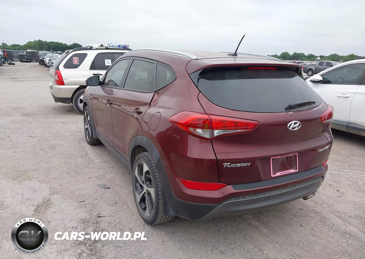 2016 Hyundai Tucson Sport VIN:KM8J33A24GU195399 - 3