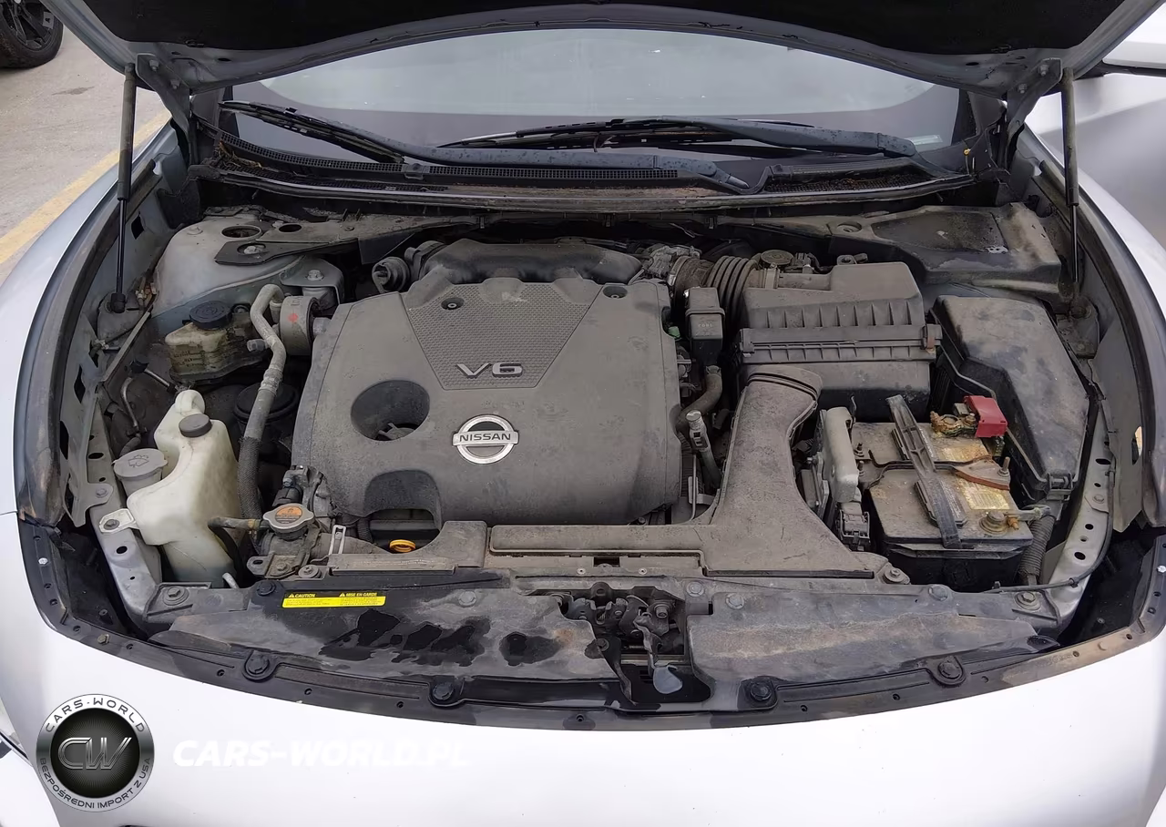 2012 Nissan Maxima 3.5 S-3.5 Sv VIN:1N4AA5AP2CC809695 - 10