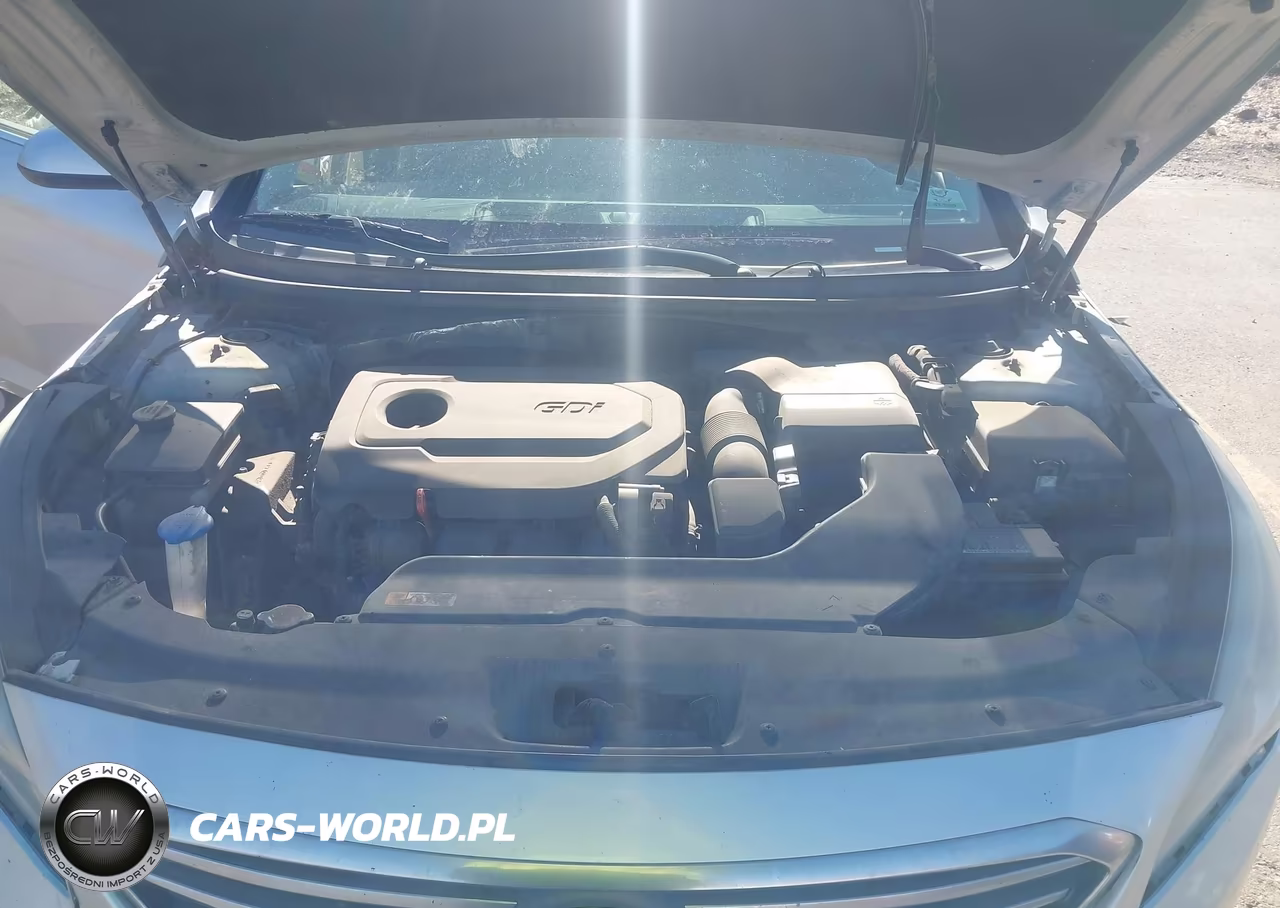 2016 Hyundai Sonata Se VIN:5NPE24AF5GH329378 - 10
