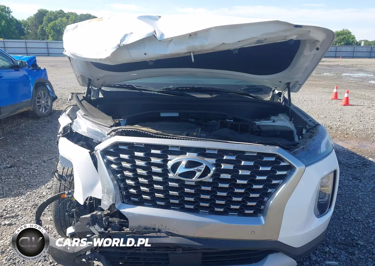 2021 Hyundai Palisade Sel VIN:KM8R44HE4MU225454 - 10