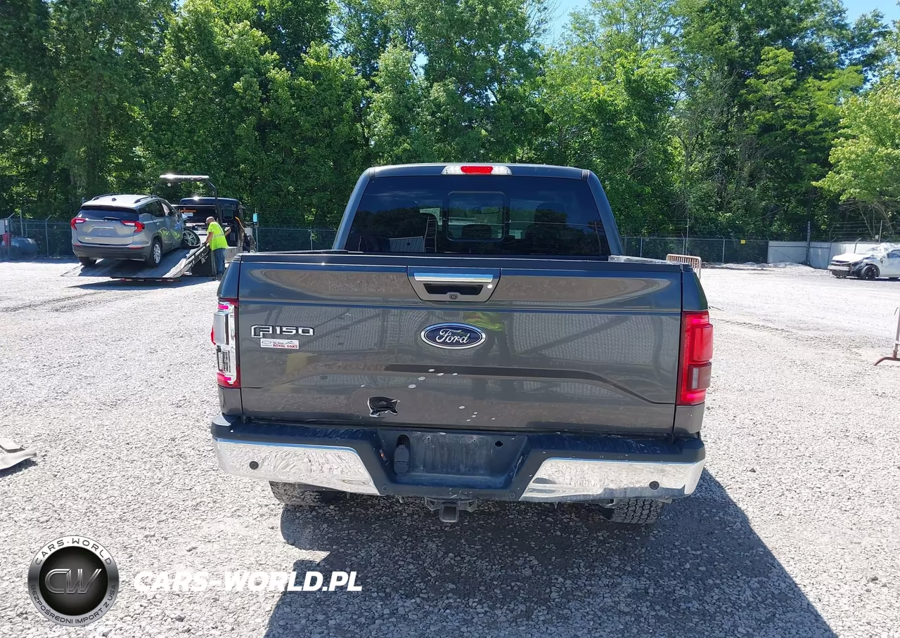 2016 Ford F-150 Lariat VIN:1FTEW1EG4GFA28147 - 15