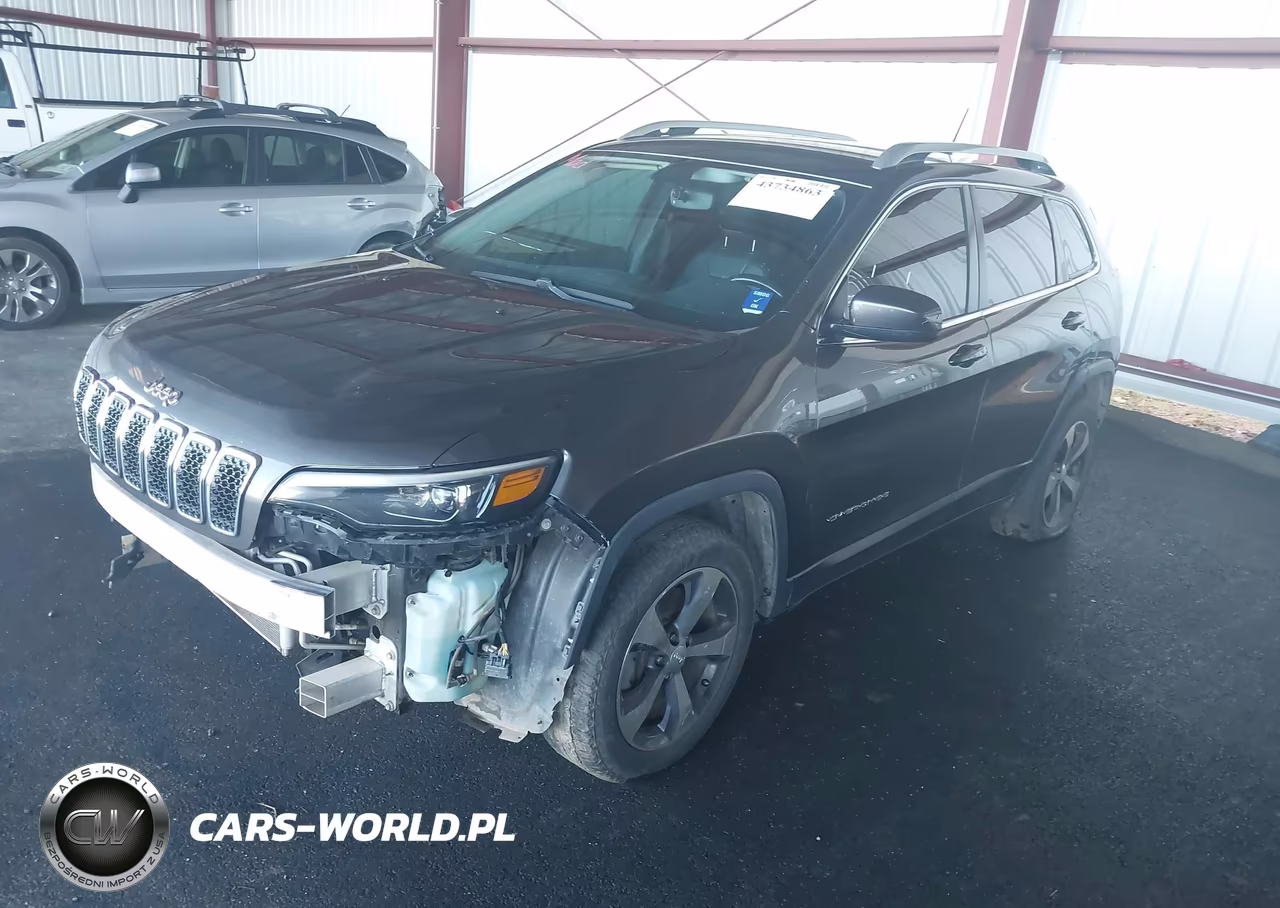 2019 Jeep Cherokee Limited 4X4 VIN:1C4PJMDX4KD165359 - 2