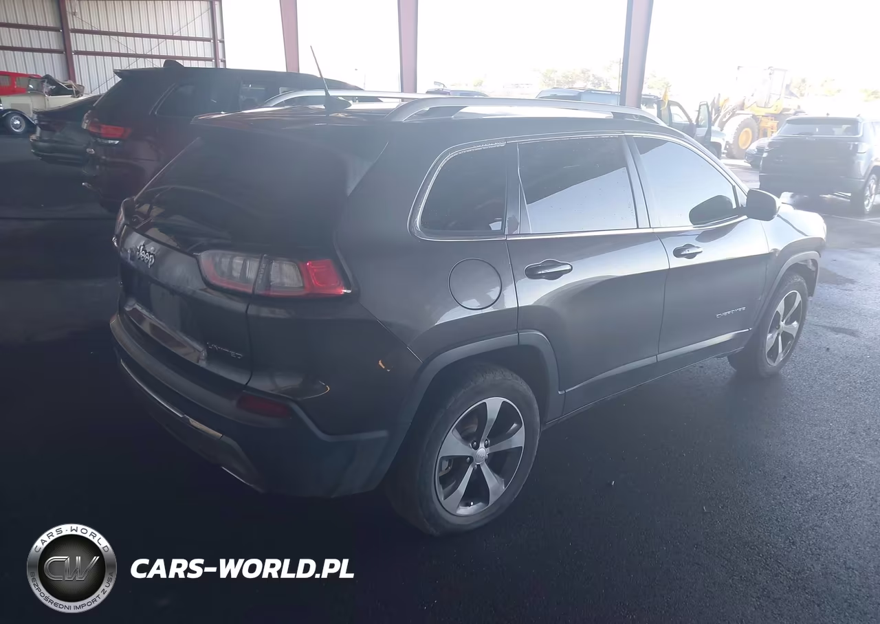 2019 Jeep Cherokee Limited 4X4 VIN:1C4PJMDX4KD165359 - 4