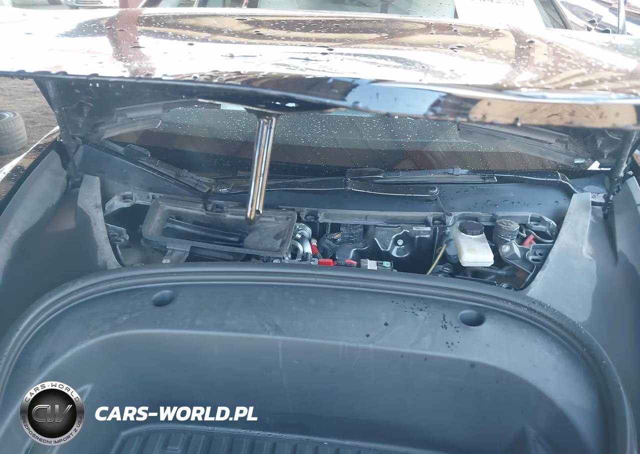 2023 Tesla Model 3 Rear-Wheel Drive VIN:5YJ3E1EA8PF661339 - 10