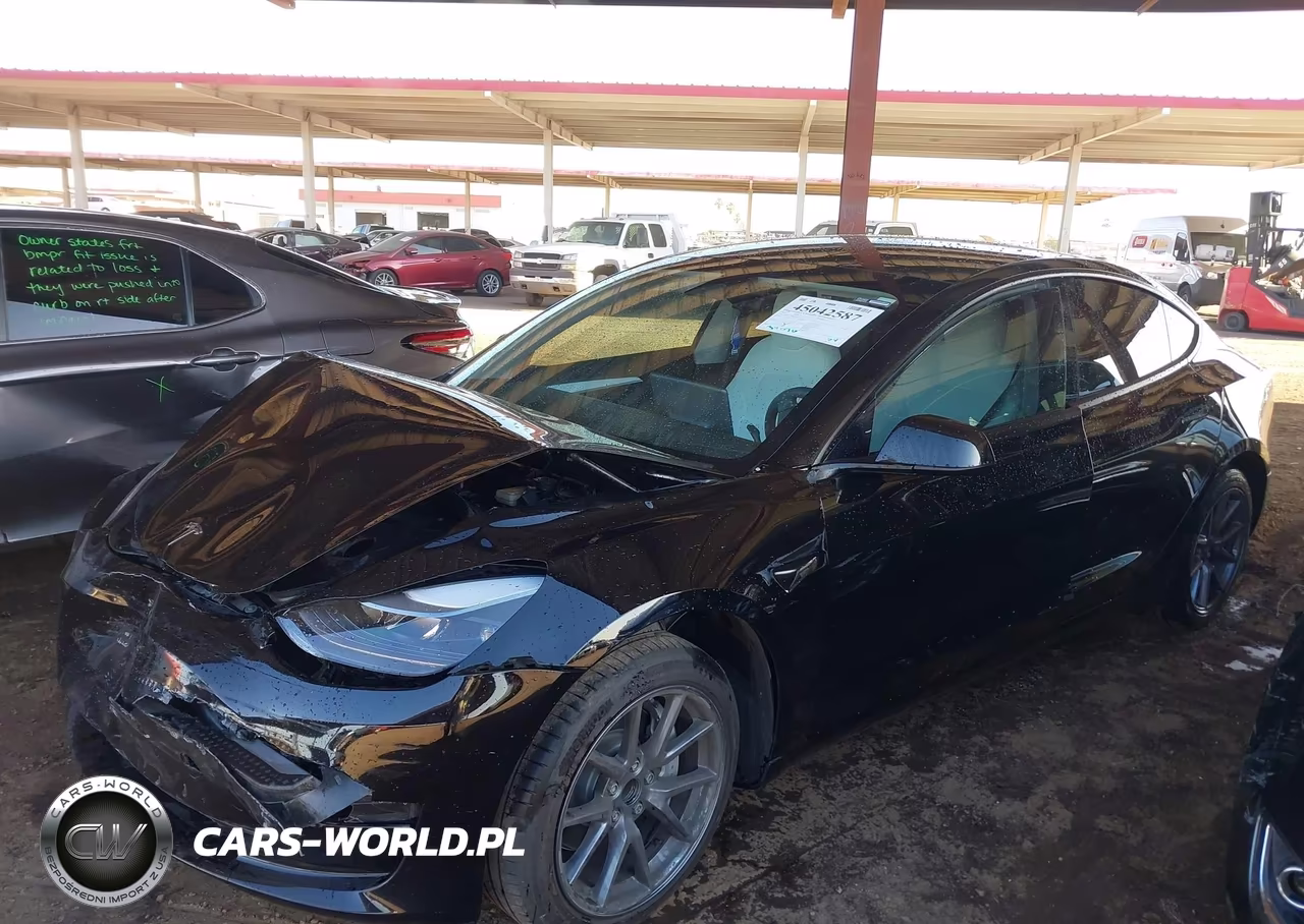 2023 Tesla Model 3 Rear-Wheel Drive VIN:5YJ3E1EA8PF661339 - 2