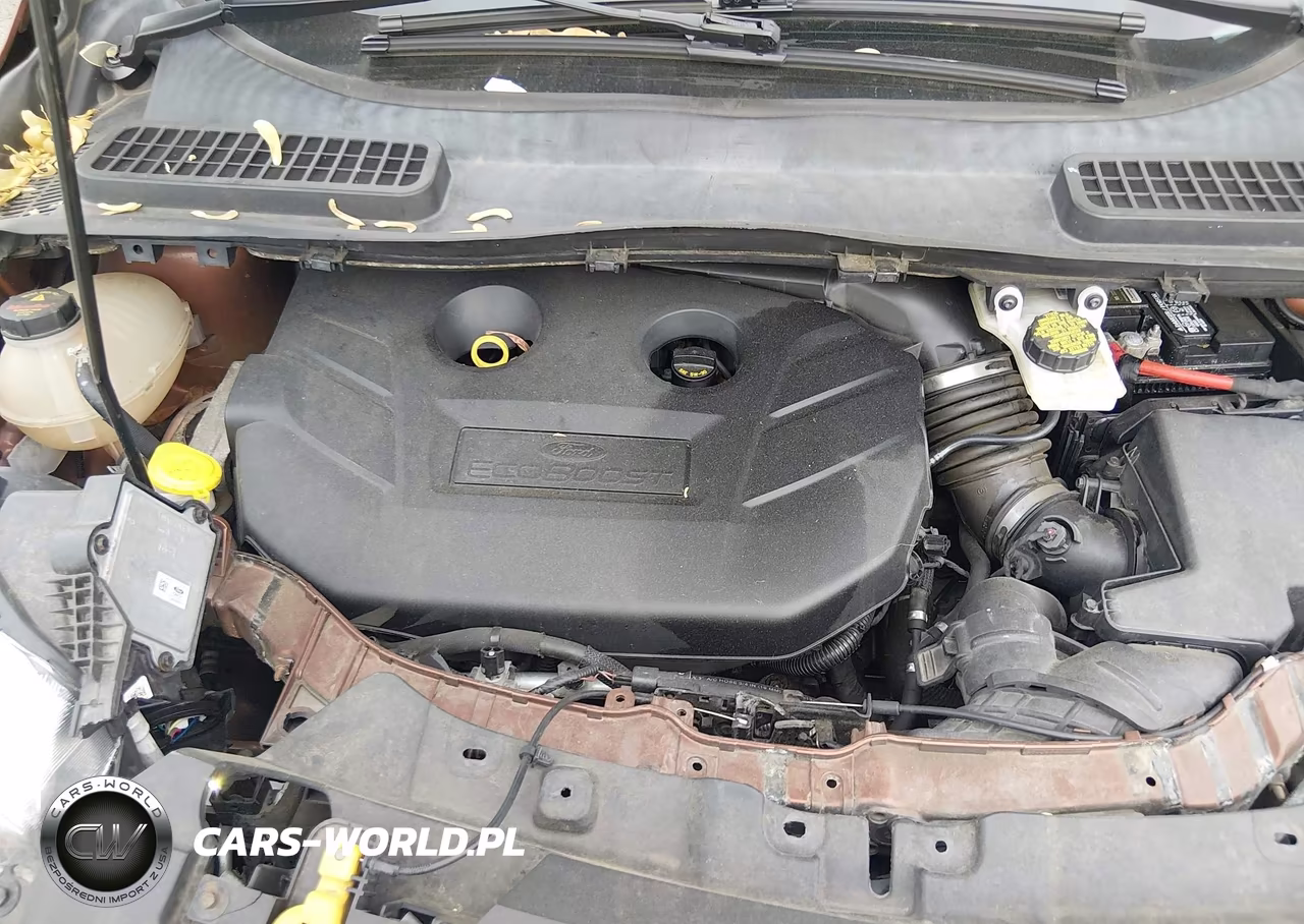 2017 Ford Escape Titanium VIN:1FMCU9J9XHUC41762 - 10