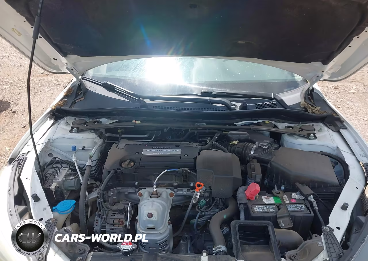2013 Honda Accord Ex-L VIN:1HGCR2F80DA120216 - 10