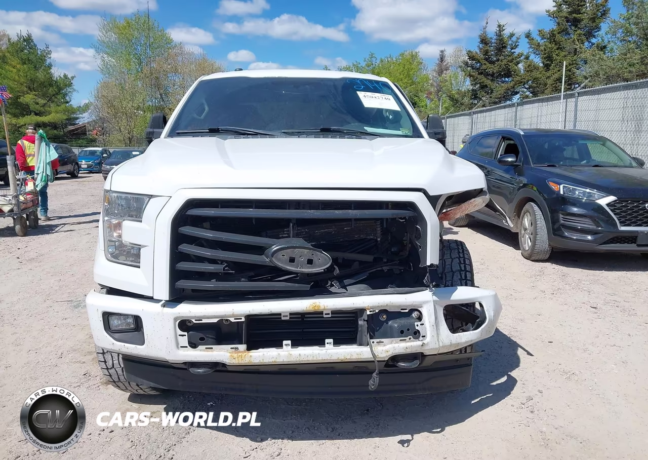 2017 Ford F-150 Xl VIN:1FTEW1EG5HKD39465 - 12