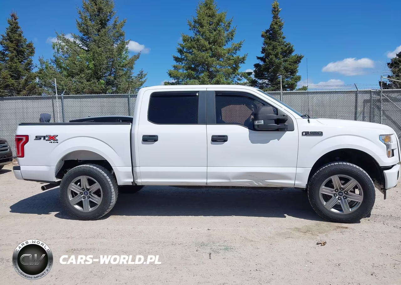 2017 Ford F-150 Xl VIN:1FTEW1EG5HKD39465 - 13