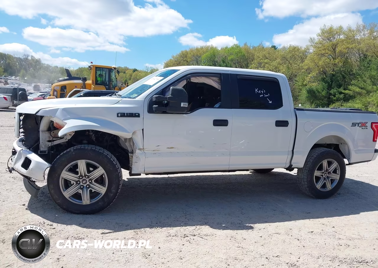 2017 Ford F-150 Xl VIN:1FTEW1EG5HKD39465 - 14