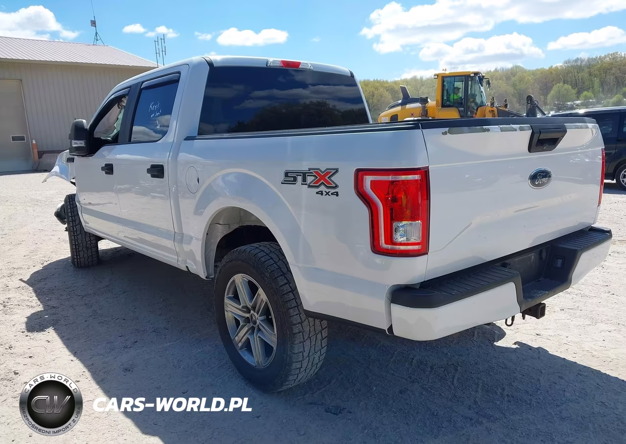 2017 Ford F-150 Xl VIN:1FTEW1EG5HKD39465 - 3