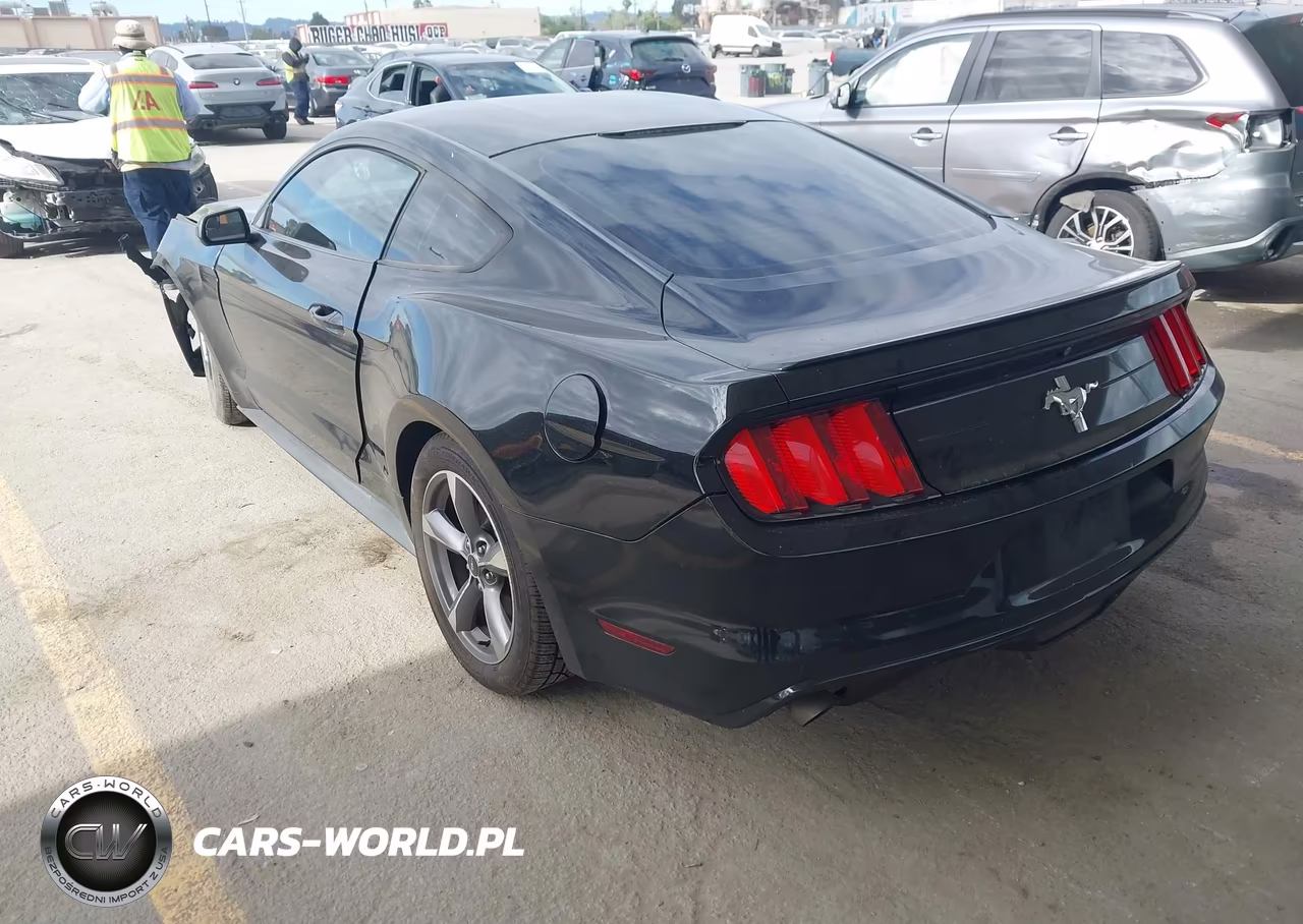 2015 Ford Mustang V6 VIN:1FA6P8AMXF5408559 - 3
