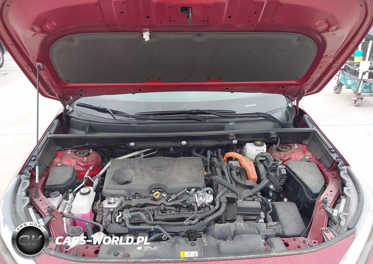2024 Toyota Rav4 Hybrid Xle VIN:2T3RWRFV5RW192019 - 10