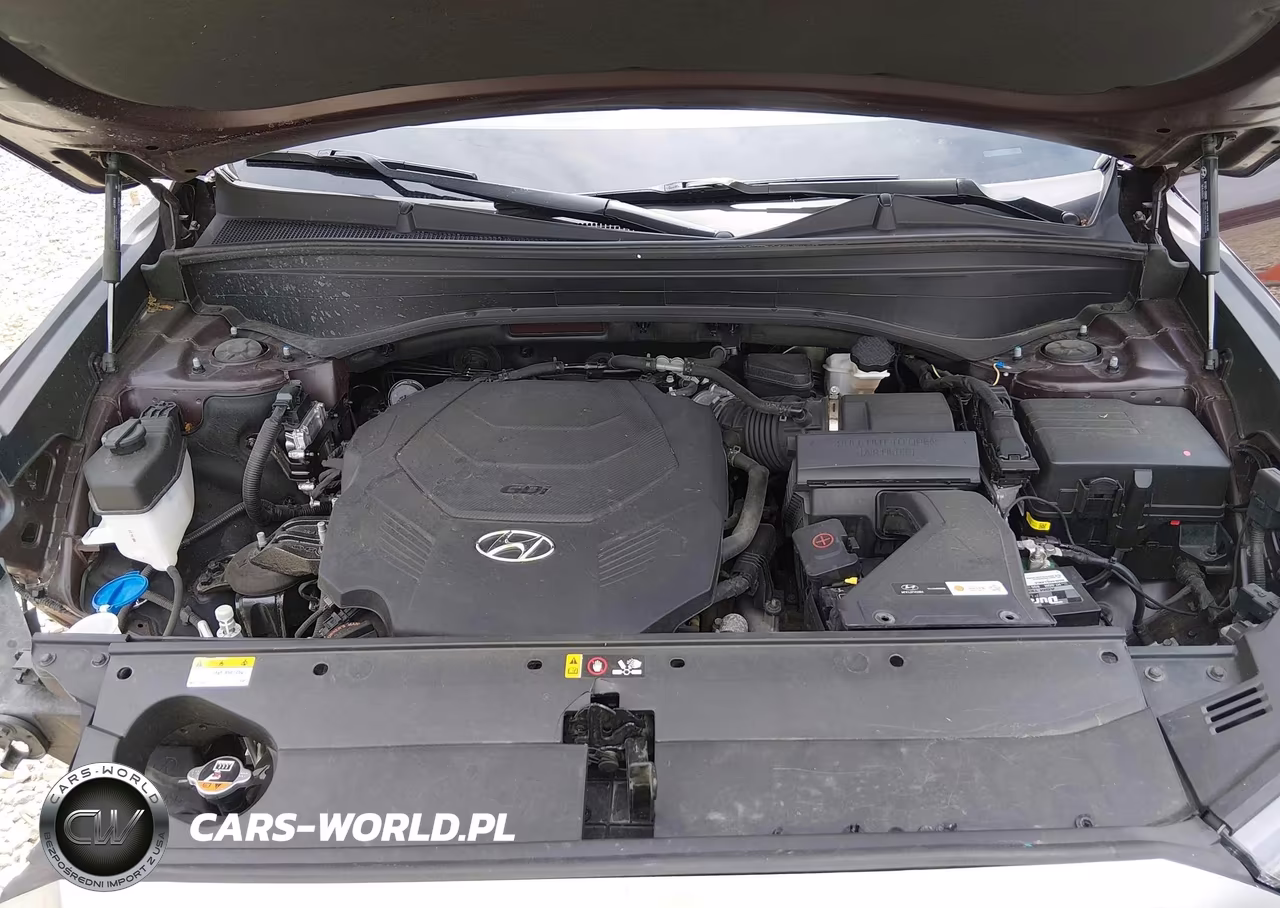 2020 Hyundai Palisade Limited VIN:KM8R5DHEXLU166292 - 10