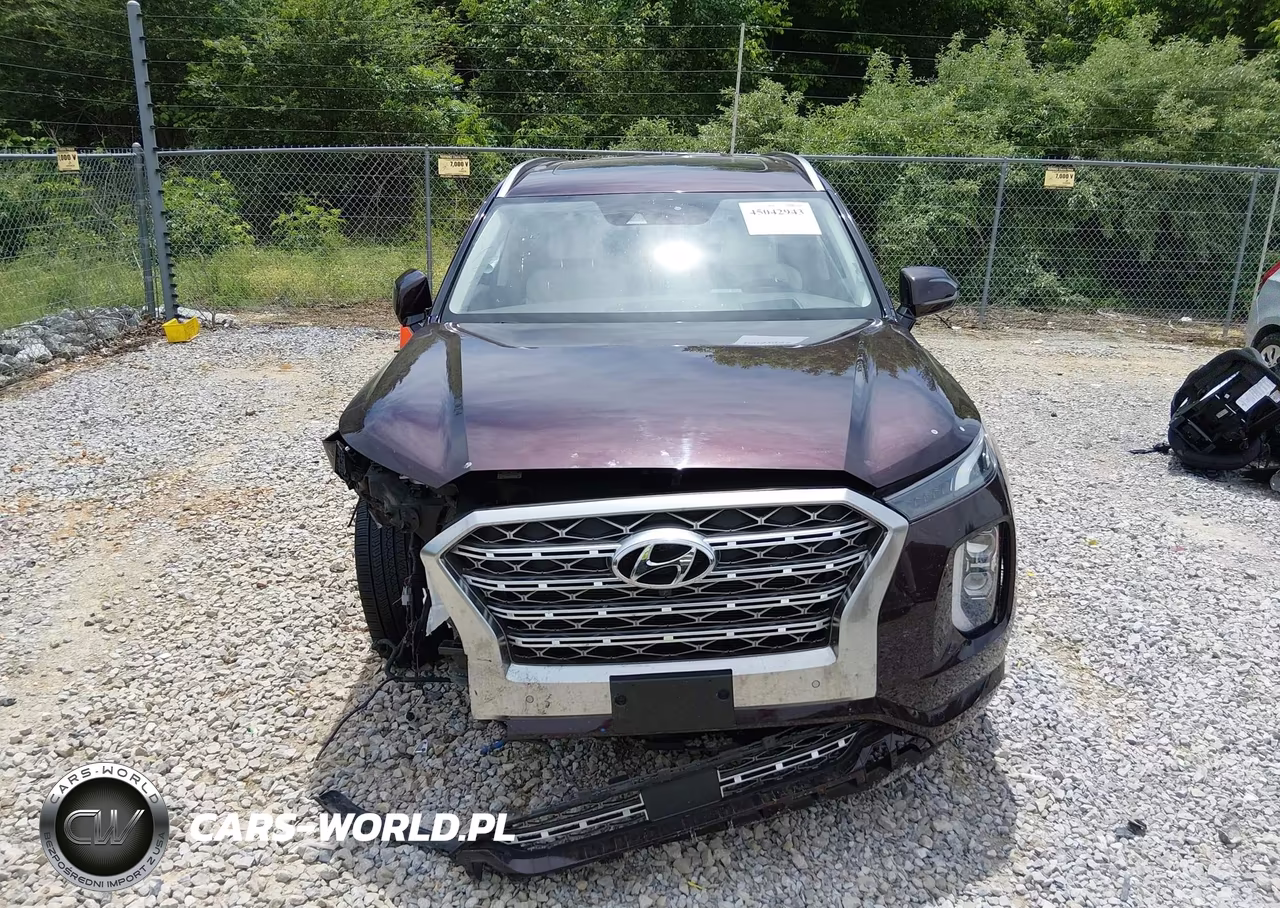 2020 Hyundai Palisade Limited VIN:KM8R5DHEXLU166292 - 12