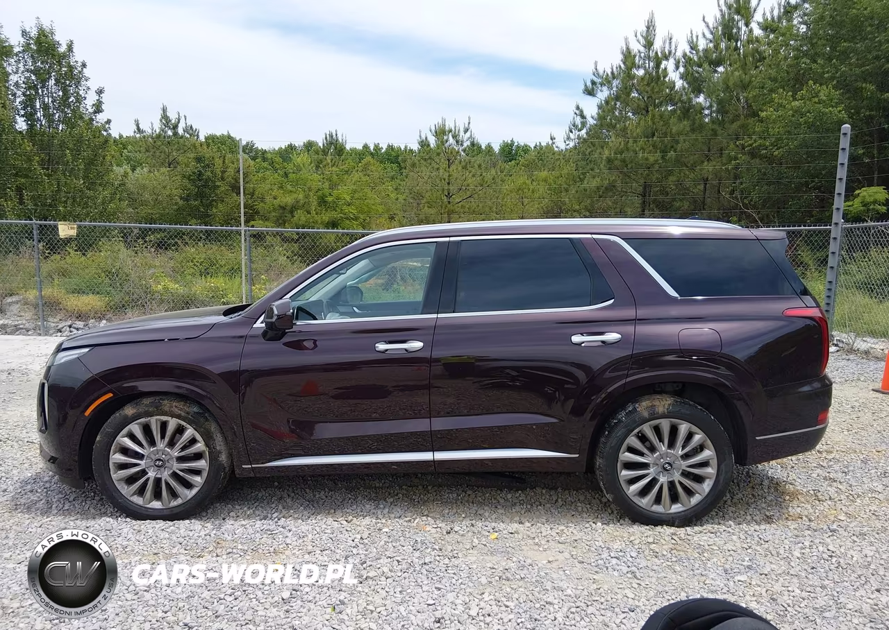 2020 Hyundai Palisade Limited VIN:KM8R5DHEXLU166292 - 14
