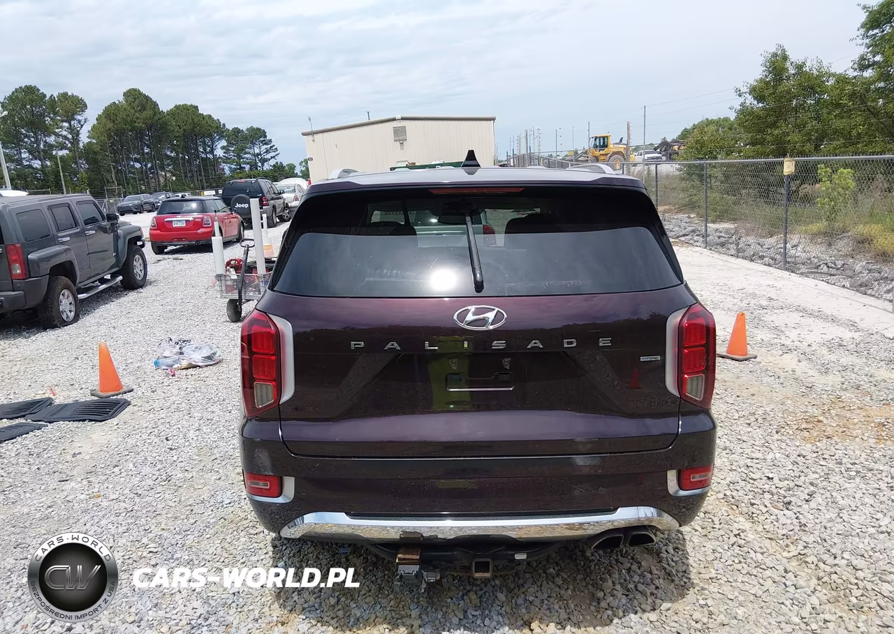 2020 Hyundai Palisade Limited VIN:KM8R5DHEXLU166292 - 16