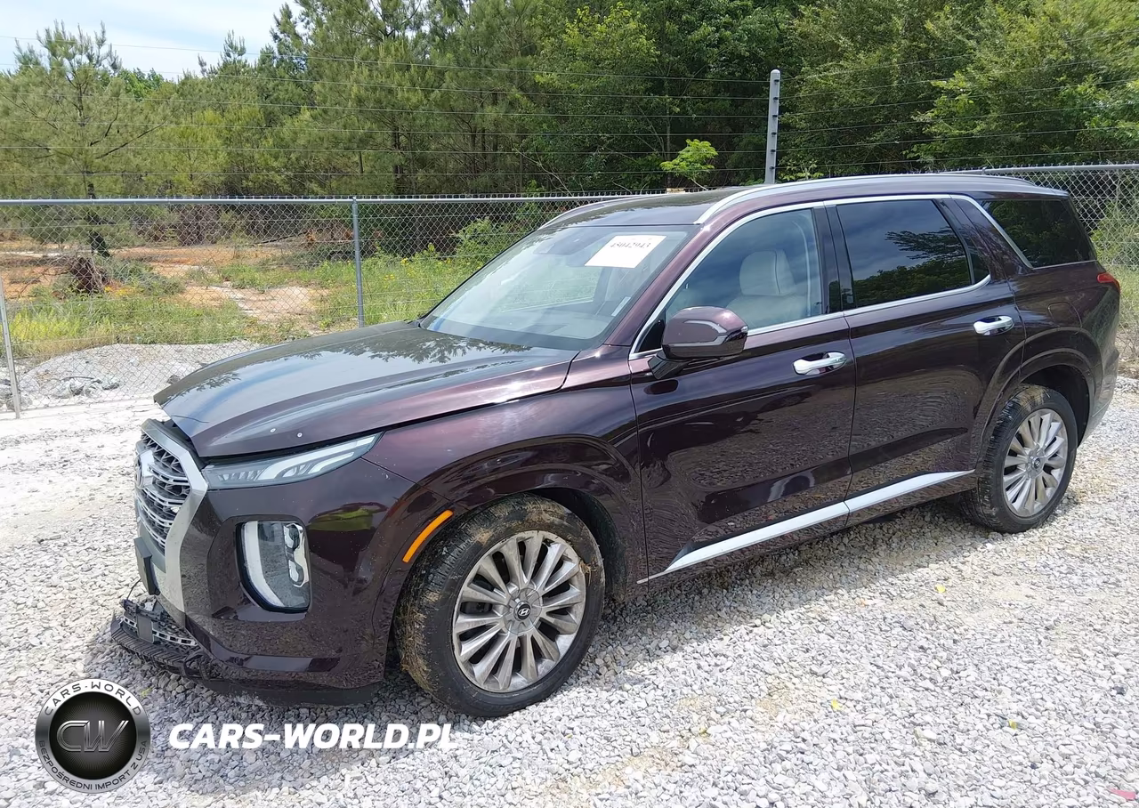 2020 Hyundai Palisade Limited VIN:KM8R5DHEXLU166292 - 2