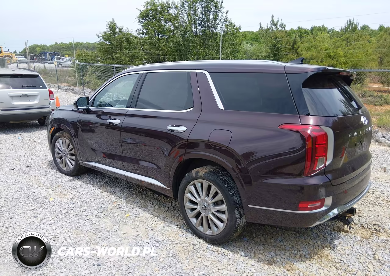 2020 Hyundai Palisade Limited VIN:KM8R5DHEXLU166292 - 3