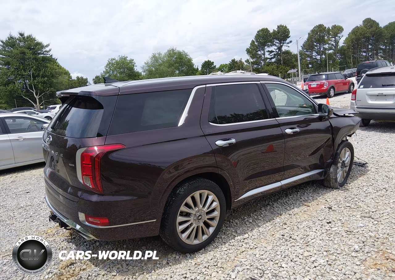 2020 Hyundai Palisade Limited VIN:KM8R5DHEXLU166292 - 4