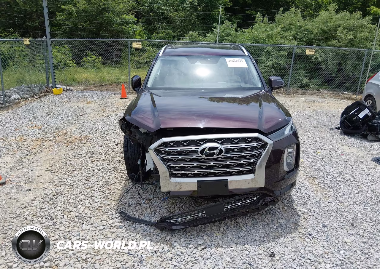 2020 Hyundai Palisade Limited VIN:KM8R5DHEXLU166292 - 6