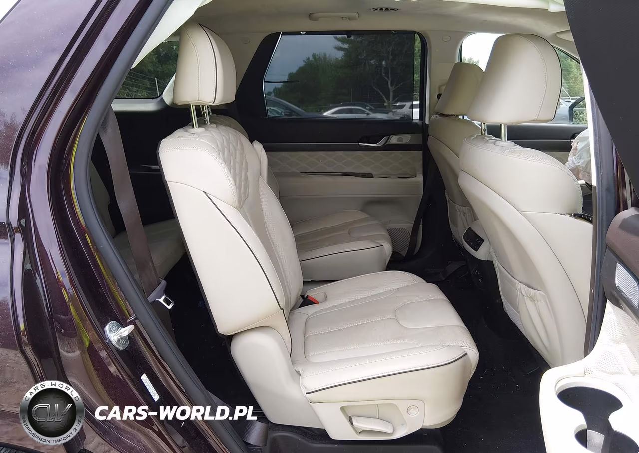 2020 Hyundai Palisade Limited VIN:KM8R5DHEXLU166292 - 8