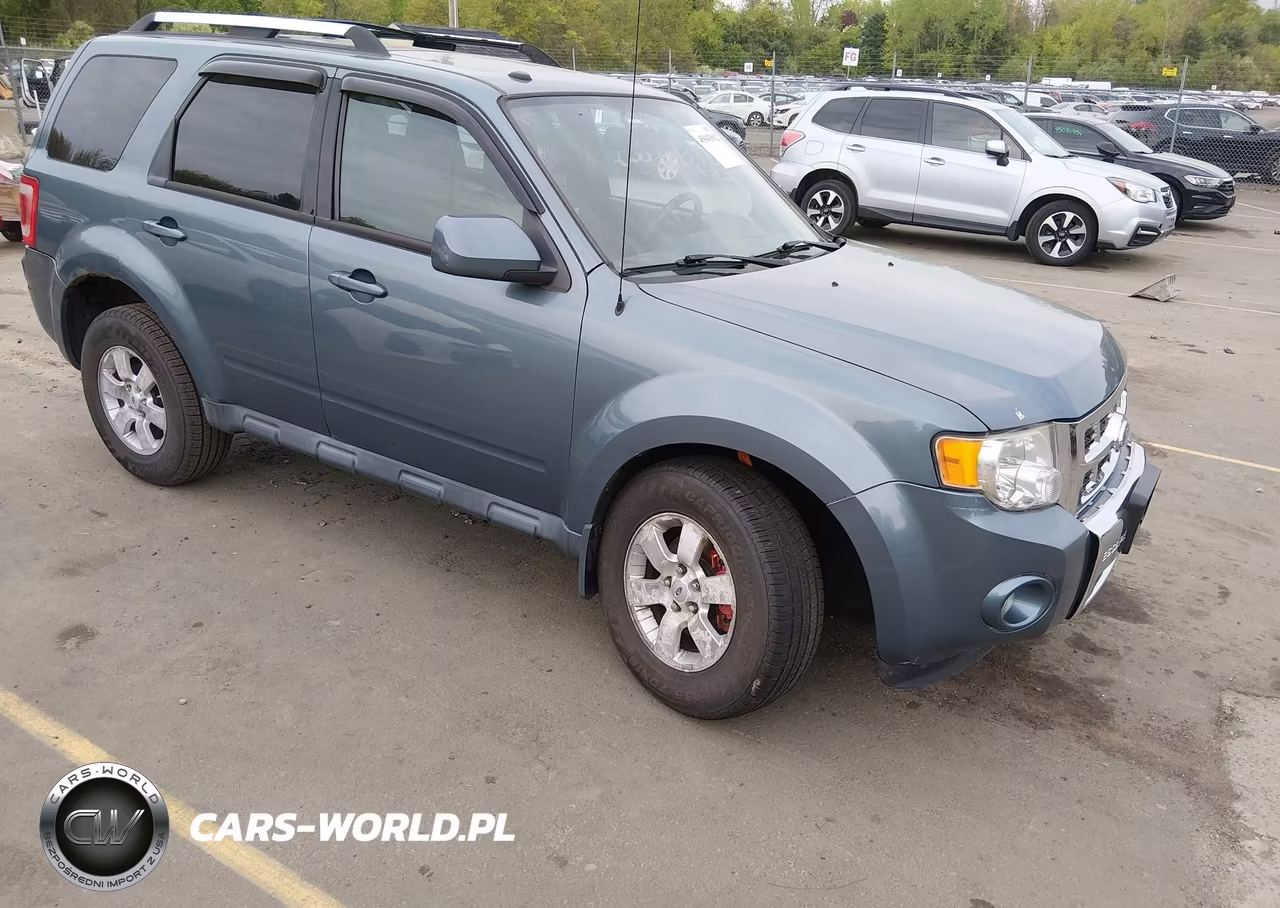 2010 Ford Escape Limited