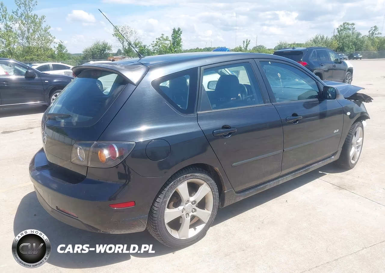 2004 Mazda Mazda3 S VIN:JM1BK343041203625 - 4
