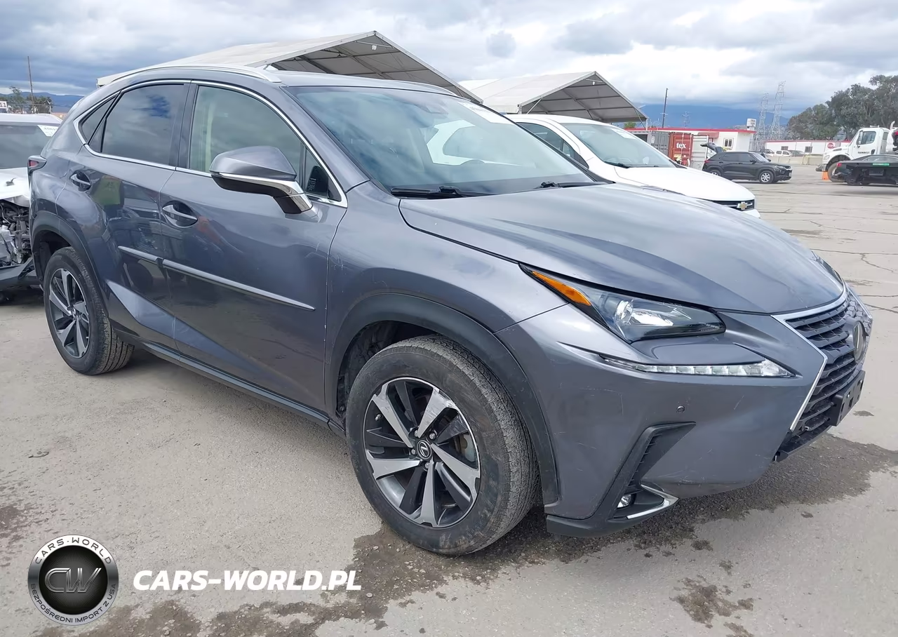 2020 Lexus Nx 300 Base