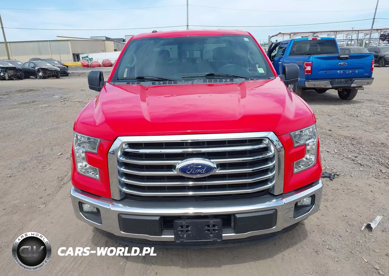 2015 Ford F-150 Xlt VIN:1FTEW1CP9FKF17524 - 12