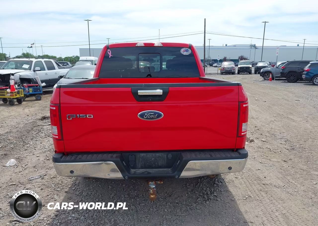 2015 Ford F-150 Xlt VIN:1FTEW1CP9FKF17524 - 16