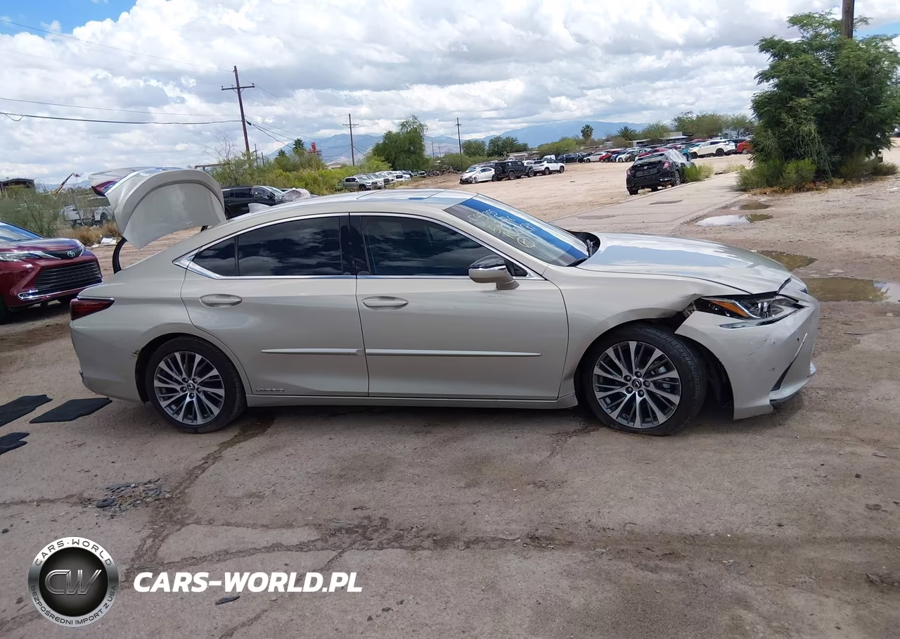 2021 Lexus Es 300H VIN:58ADA1C15MU009336 - 12