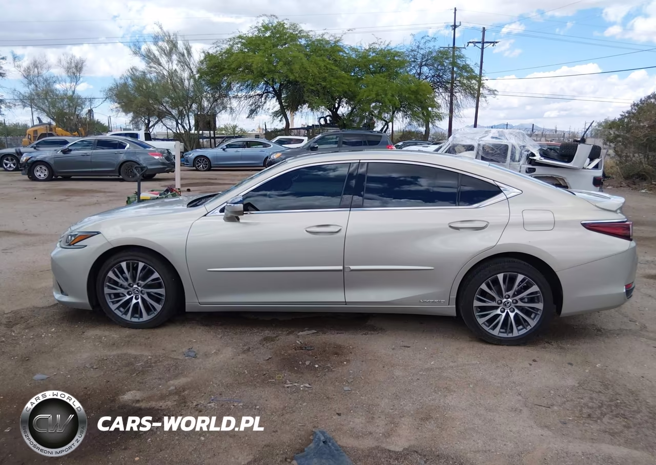 2021 Lexus Es 300H VIN:58ADA1C15MU009336 - 13