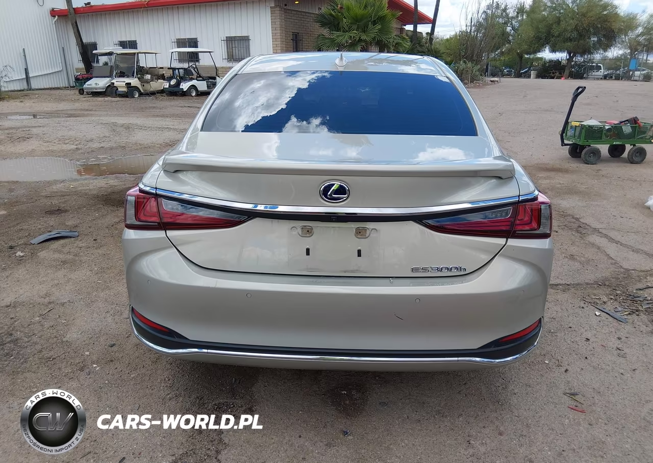 2021 Lexus Es 300H VIN:58ADA1C15MU009336 - 15