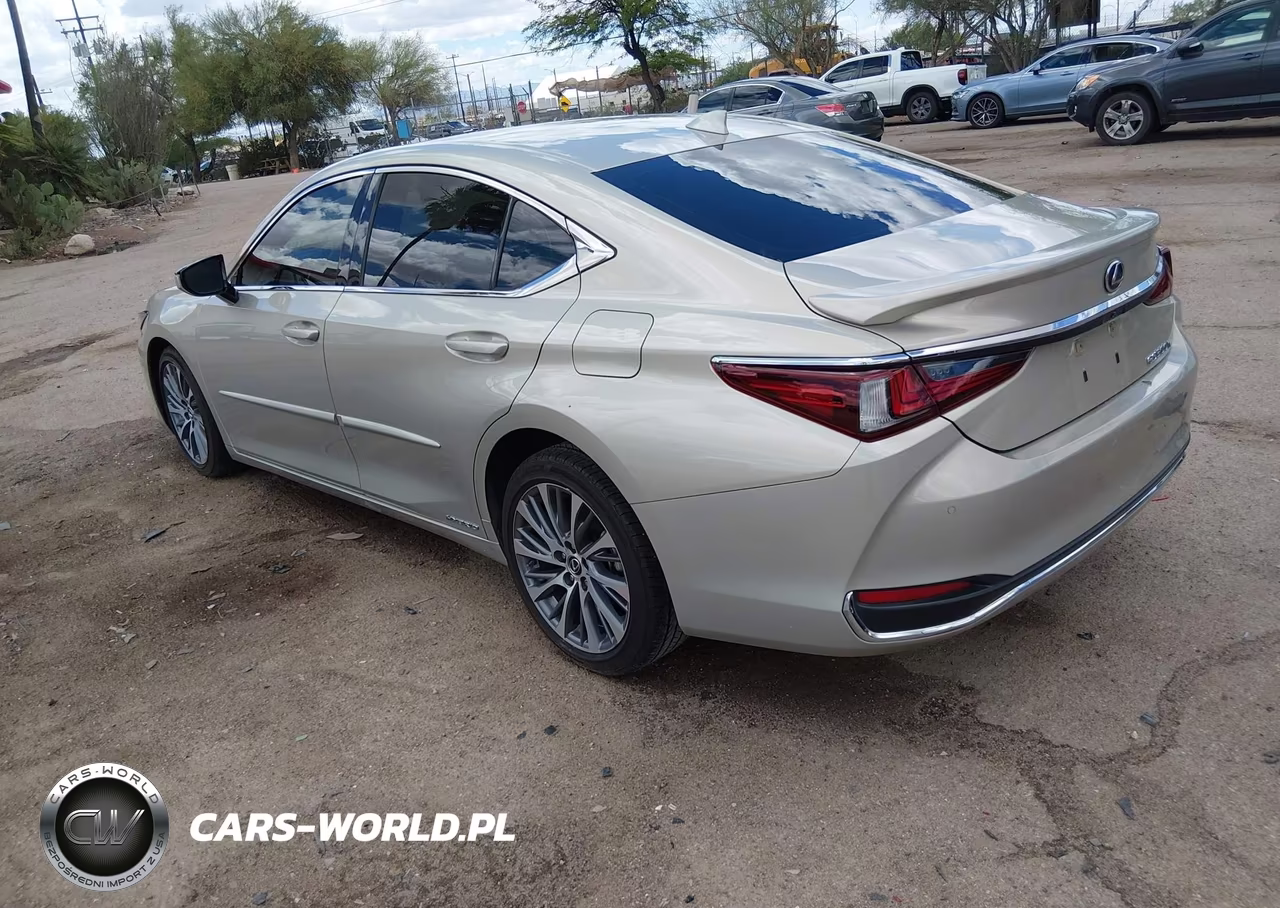 2021 Lexus Es 300H VIN:58ADA1C15MU009336 - 3