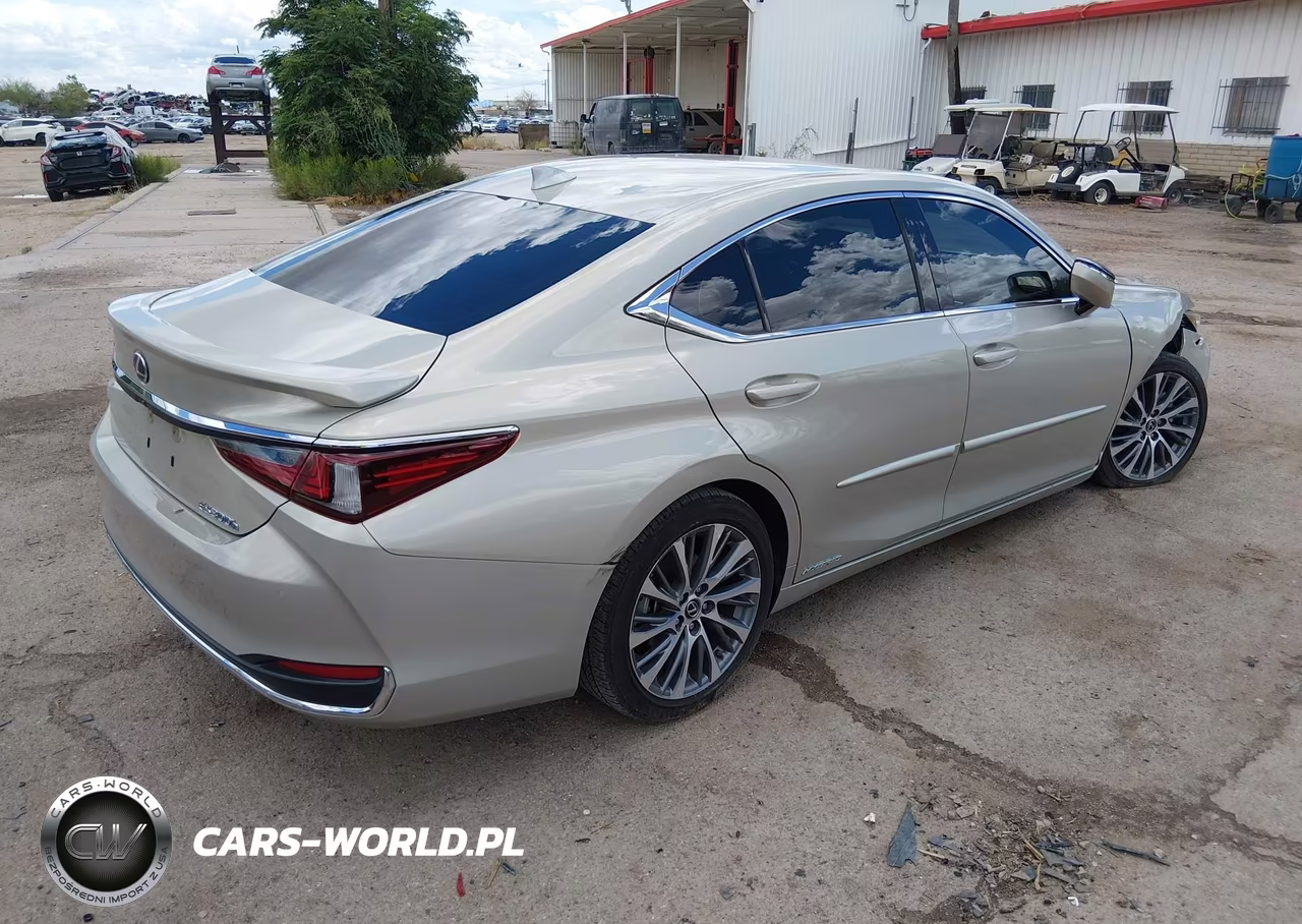 2021 Lexus Es 300H VIN:58ADA1C15MU009336 - 4