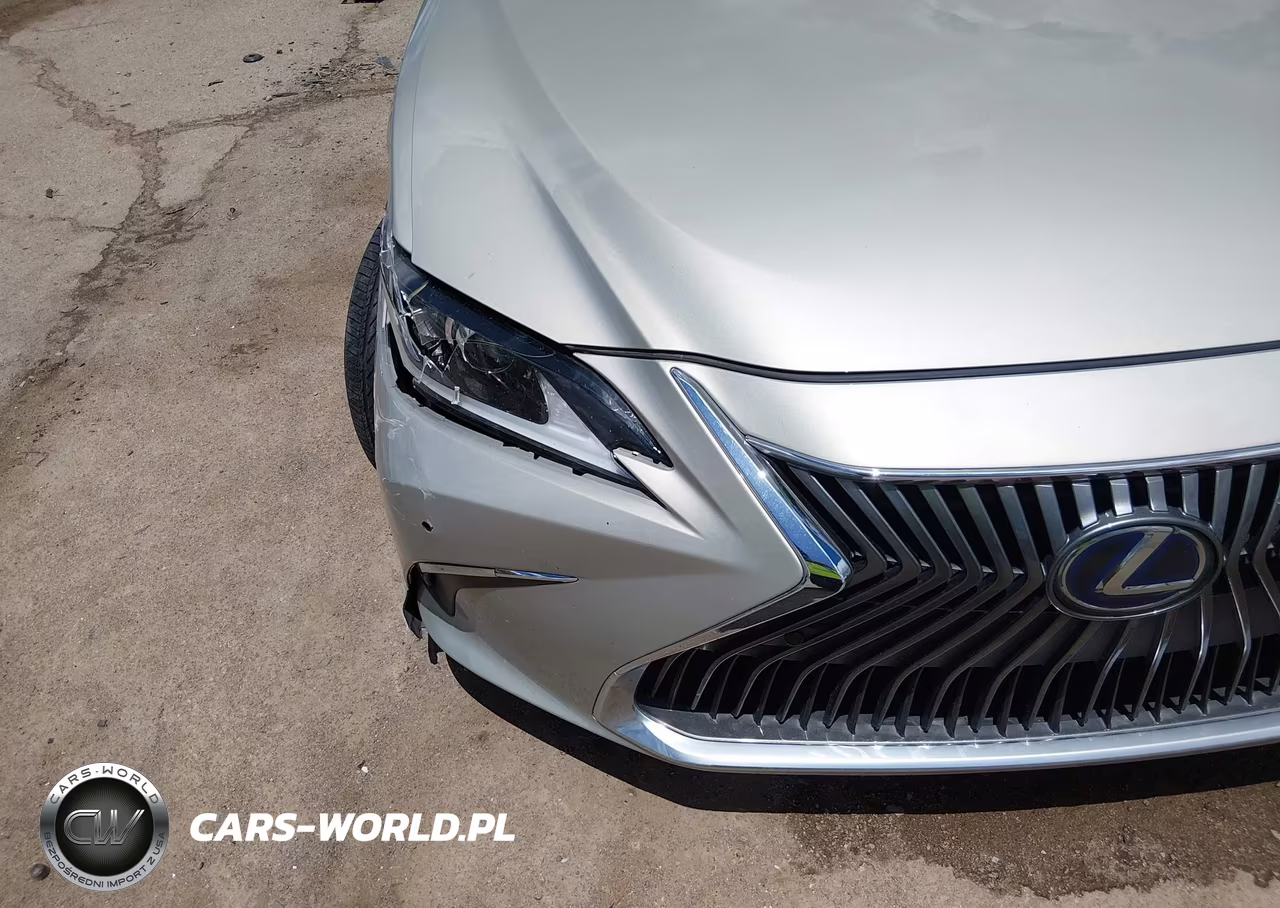 2021 Lexus Es 300H VIN:58ADA1C15MU009336 - 6