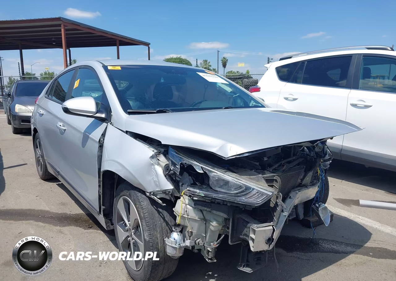 2019 Hyundai Ioniq Electric – zdjęcie 1 z 16