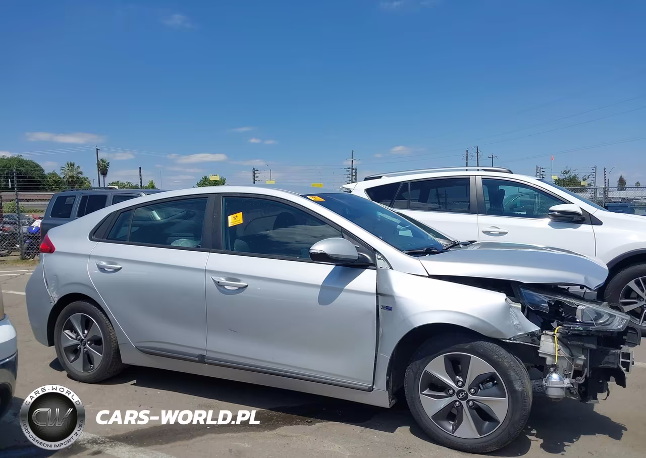 2019 Hyundai Ioniq Electric VIN:KMHC75LH7KU045886 - 13